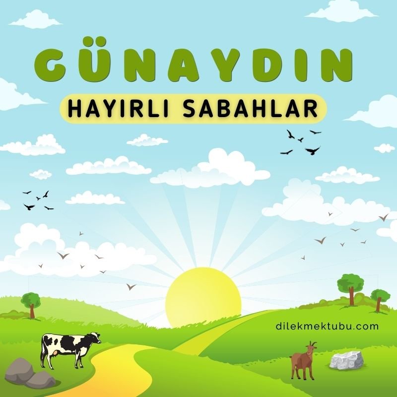 hayırlı sabahlar