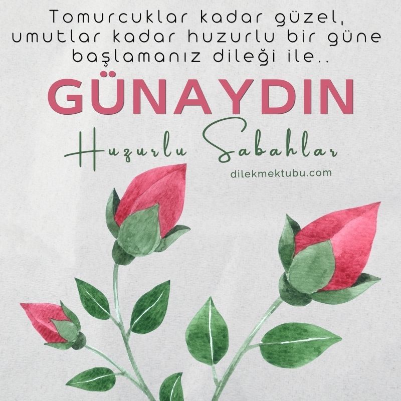 Günaydın / Resimli Günaydın Mesajları 2023
