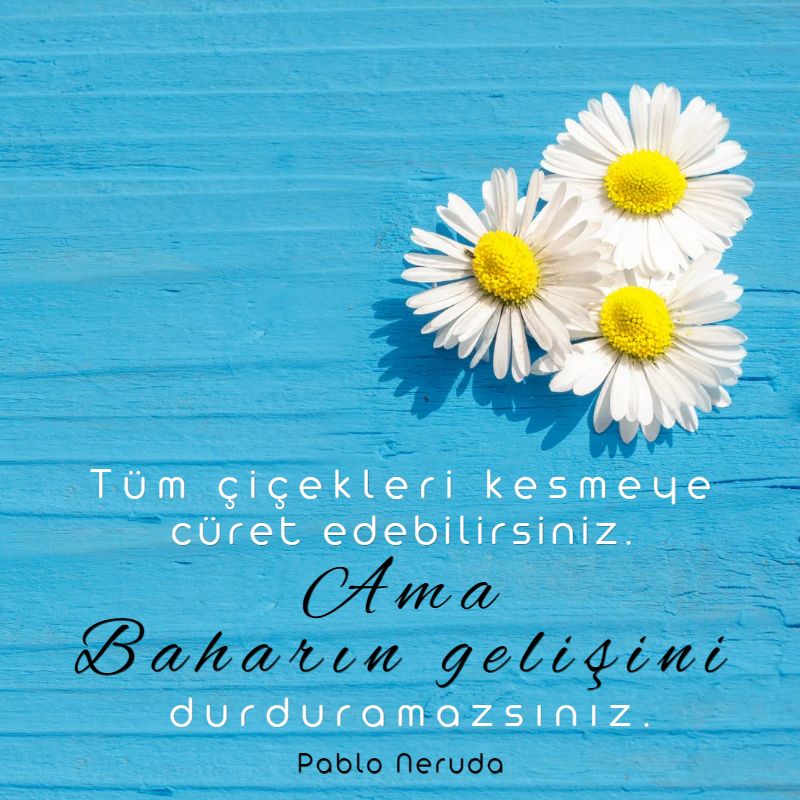 Güzel ve Anlamlı Motivasyon Sözleri 2023