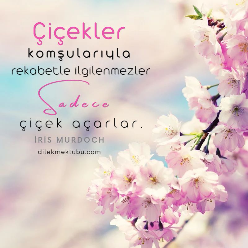 Anlamlı Motivasyon Sözleri 2023