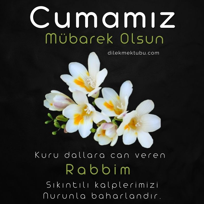 Hayırlı Cumalar