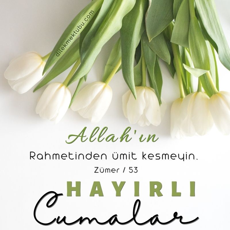 Anlamlı Cuma Mesajları