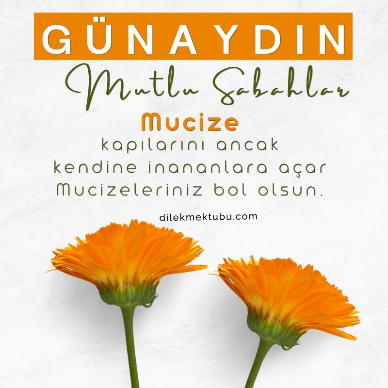 günaydın