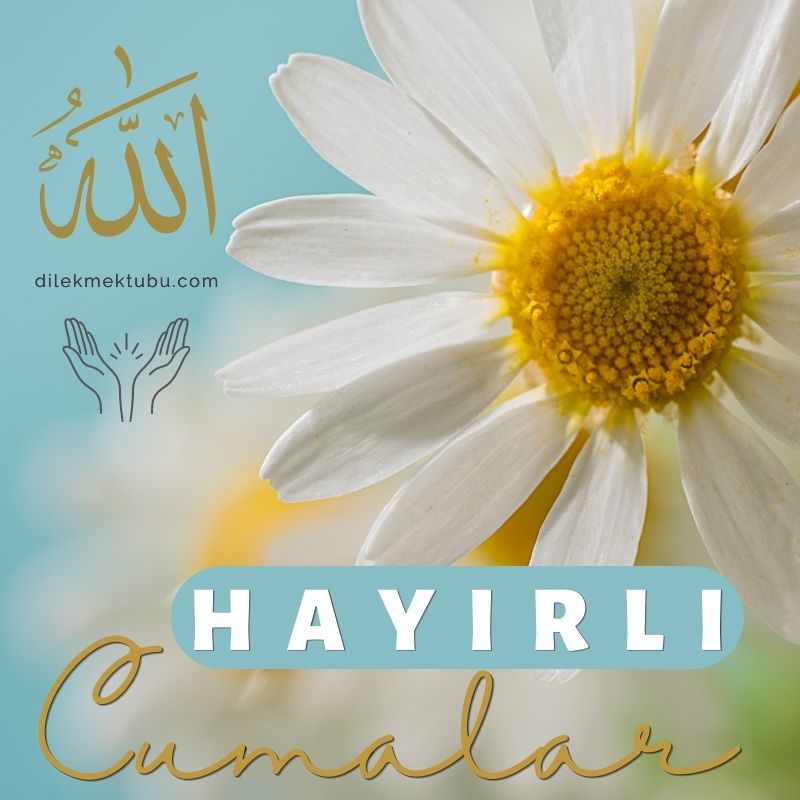 Çiçekli Cuma Mesajları