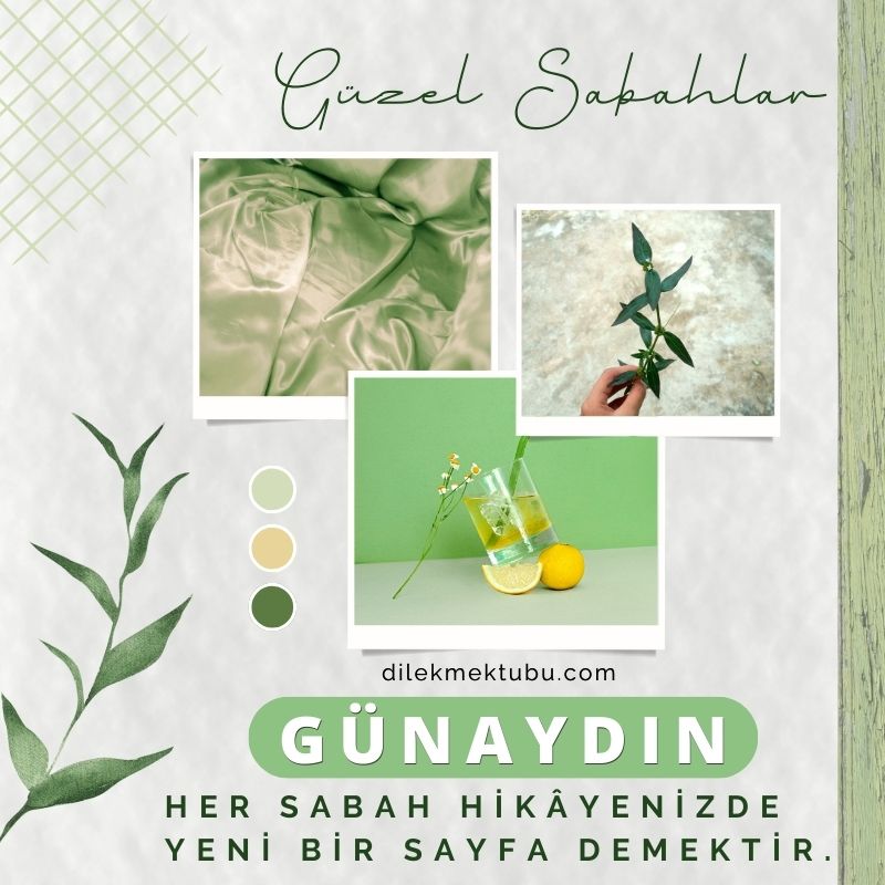 Günaydın arkadaşlar