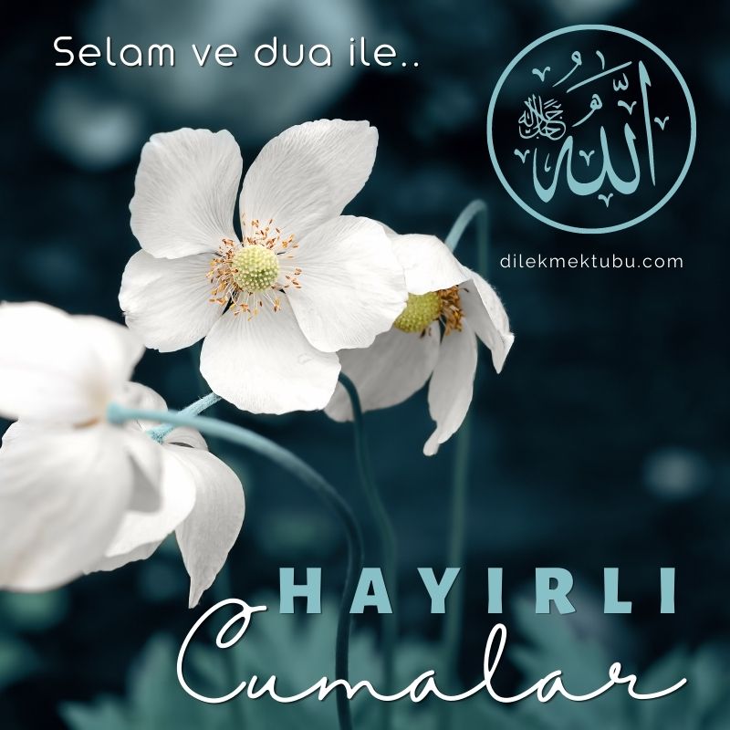 Cumamız mübarek olsun