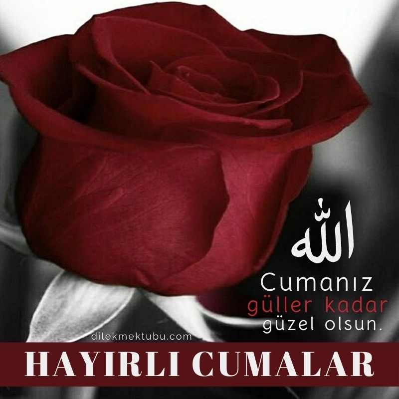 Resimli ve Anlamlı Cuma Mesajları 2024