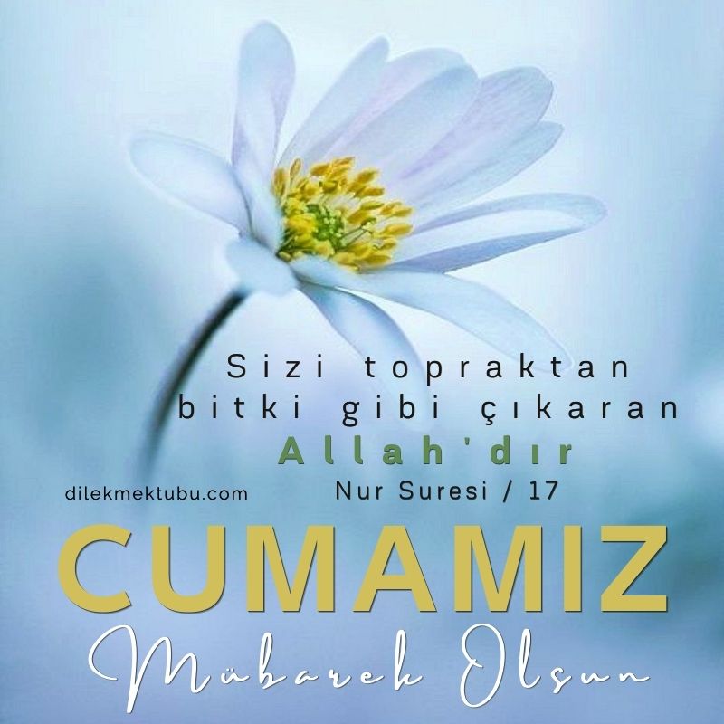 Anlamlı Cuma Mesajları