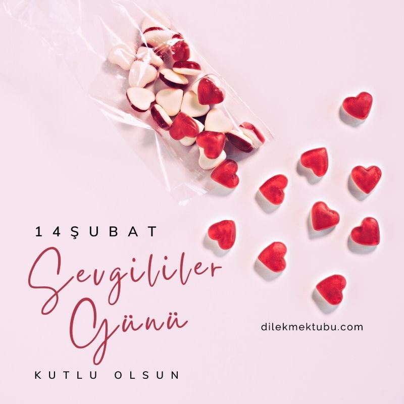 Sevgililer Günü Mesajları 2024